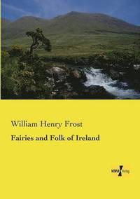 bokomslag Fairies and Folk of Ireland