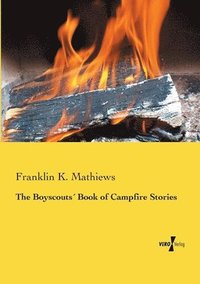 bokomslag The Boyscouts Book of Campfire Stories