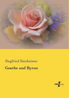 Siegfried Sinzheimer - Goethe und Byron, Häftad