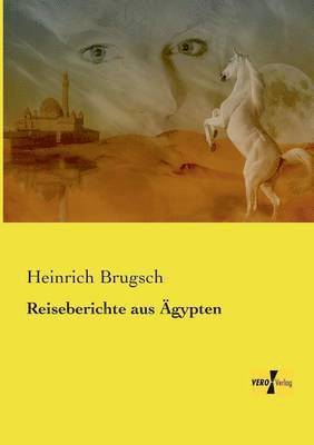 Reiseberichte aus AEgypten 1