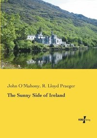 bokomslag The Sunny Side of Ireland