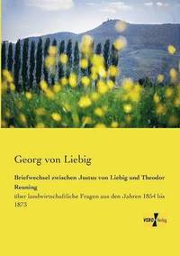 bokomslag Briefwechsel zwischen Justus von Liebig und Theodor Reuning