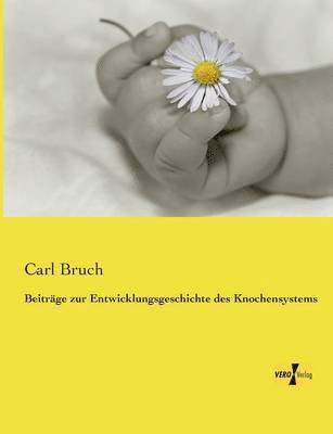 Carl Bruch - Beiträge zur Entwicklungsgeschichte des Knochensystems, Häftad