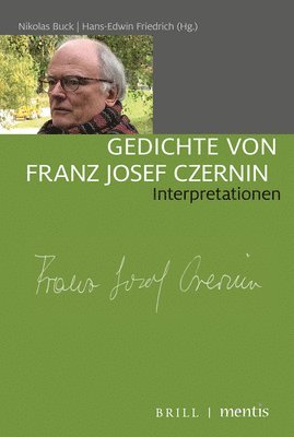Nikolas Buck, Hans-Edwin Friedrich - Gedichte Von Franz Josef Czernin: Interpretationen, Häftad