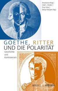 bokomslag Goethe, Ritter Und Die Polarität: Geschichte Und Kontroversen