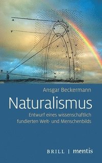 bokomslag Naturalismus: Entwurf Eines Wissenschaftlich Fundierten Welt- Und Menschenbilds