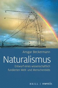 bokomslag Naturalismus: Entwurf Eines Wissenschaftlich Fundierten Welt- Und Menschenbilds