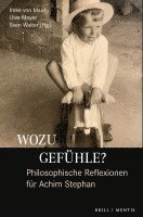 bokomslag Wozu Gefuhle? Philosophische Reflexionen Fur Achim Stephan