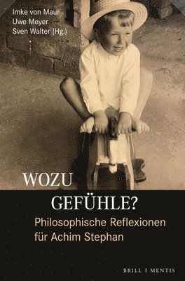 Wozu Gefuhle? Philosophische Reflexionen Fur Achim Stephan 1