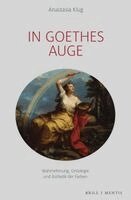 Anastasia Klug - In Goethes Auge: Wahrnehmung, Ontologie Und Asthetik Der Farben, Häftad