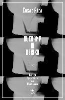 César Aira - Duchamp in Mexiko, Inbunden