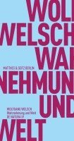 Wolfgang Welsch, Frank Fehrenbach - Wahrnehmung und Welt, Häftad