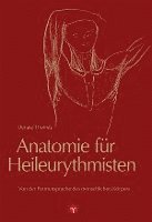bokomslag Anatomie für Heileurythmisten