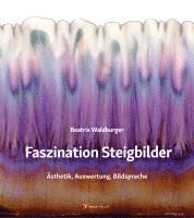 bokomslag Faszination Steigbilder