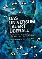 bokomslag Das Universum lauert überall