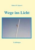 bokomslag Wege ins Licht