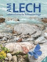 bokomslag Am Lech