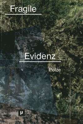 bokomslag Fragile Evidenz
