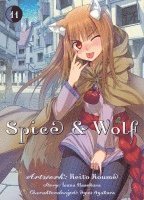 bokomslag Spice & Wolf 11