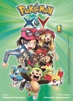 bokomslag Pokémon X und Y 01