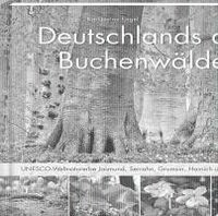 bokomslag Deutschlands alte Buchenwälder