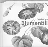bokomslag Historische Blumenbilder - Book To Go
