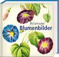 bokomslag Historische Blumenbilder - Book To Go