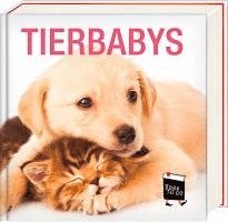 Tierbabys - Book To Go, Inbunden