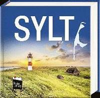 bokomslag Sylt - Book To Go