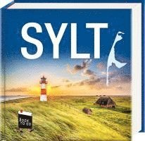 bokomslag Sylt - Book To Go