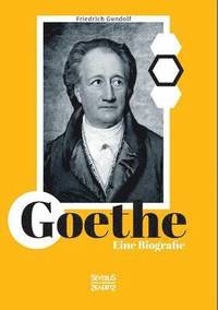 bokomslag Goethe. Eine Biografie