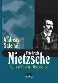 bokomslag Friedrich Nietzsche in seinen Werken