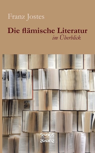 bokomslag Die flmische Literatur im berblick