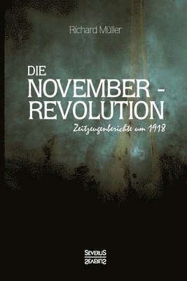 Richard Müller - Novemberrevolution, Häftad