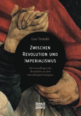 Leo Trotzki - Zwischen Imperialismus und Revolution, Häftad