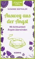 Susanne Seethaler - Ausweg aus der Angst, Häftad