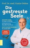 bokomslag Die gestresste Seele