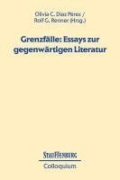 bokomslag Grenzfälle: Essays zur gegenwärtigen Literatur