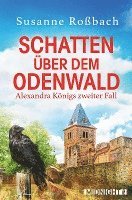 bokomslag Schatten über dem Odenwald