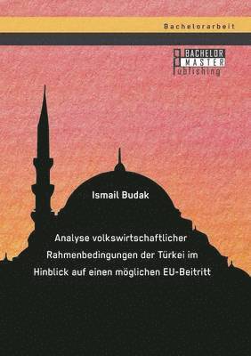 bokomslag Analyse volkswirtschaftlicher Rahmenbedingungen der Trkei im Hinblick auf einen mglichen EU-Beitritt