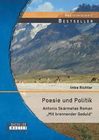 bokomslag Poesie und Politik