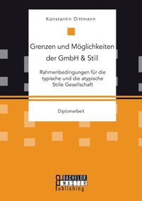 bokomslag Grenzen und Möglichkeiten der GmbH & Still