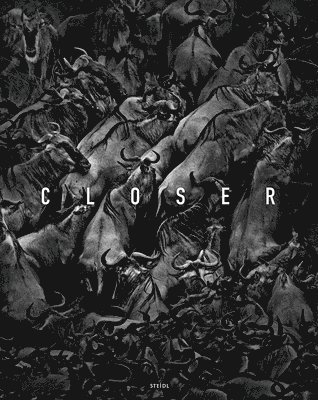 bokomslag Tomasz Gudzowaty: Closer