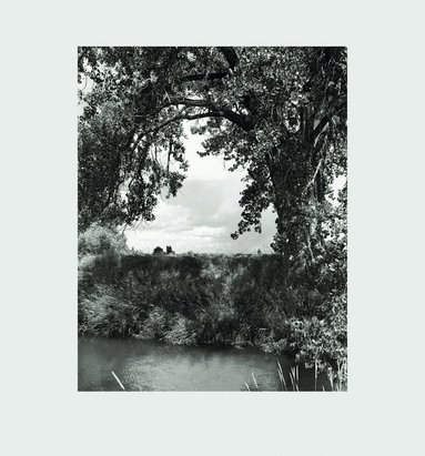 Robert Adams, Joshua Chuang - Robert Adams: Cottonwoods, Inbunden
