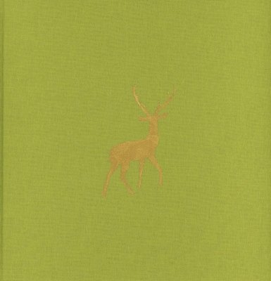 Paola De Pietri: Istanbul New Stories