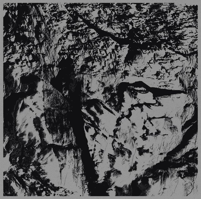 Michel Comte - Michel Comte: Light, Häftad