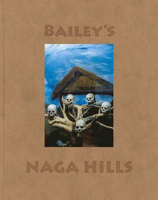 bokomslag David Bailey: Bailey's Naga Hills