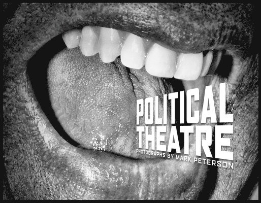 Mark Peterson: Political Theatre 1