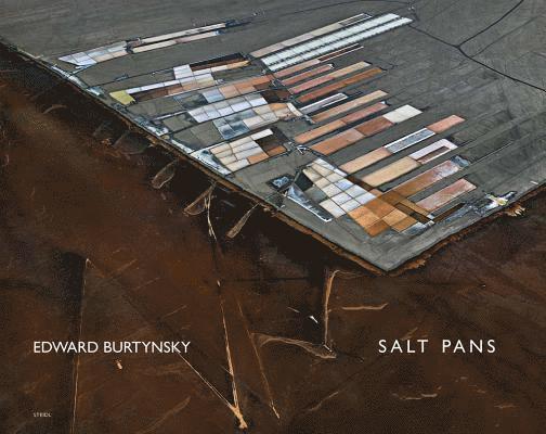 Edward Burtynsky: Salt Pans 1