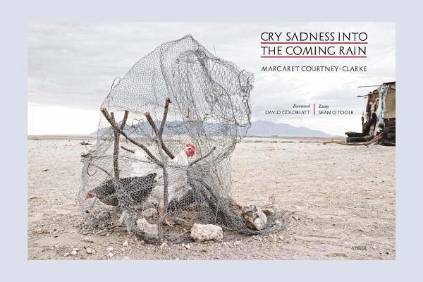 Margaret Courtney-Clark: Cry Sadness into the Coming Rain 1